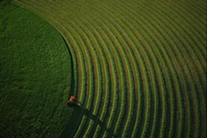 L’agriculture française bénéficiaire de l’ouverture des marchés 